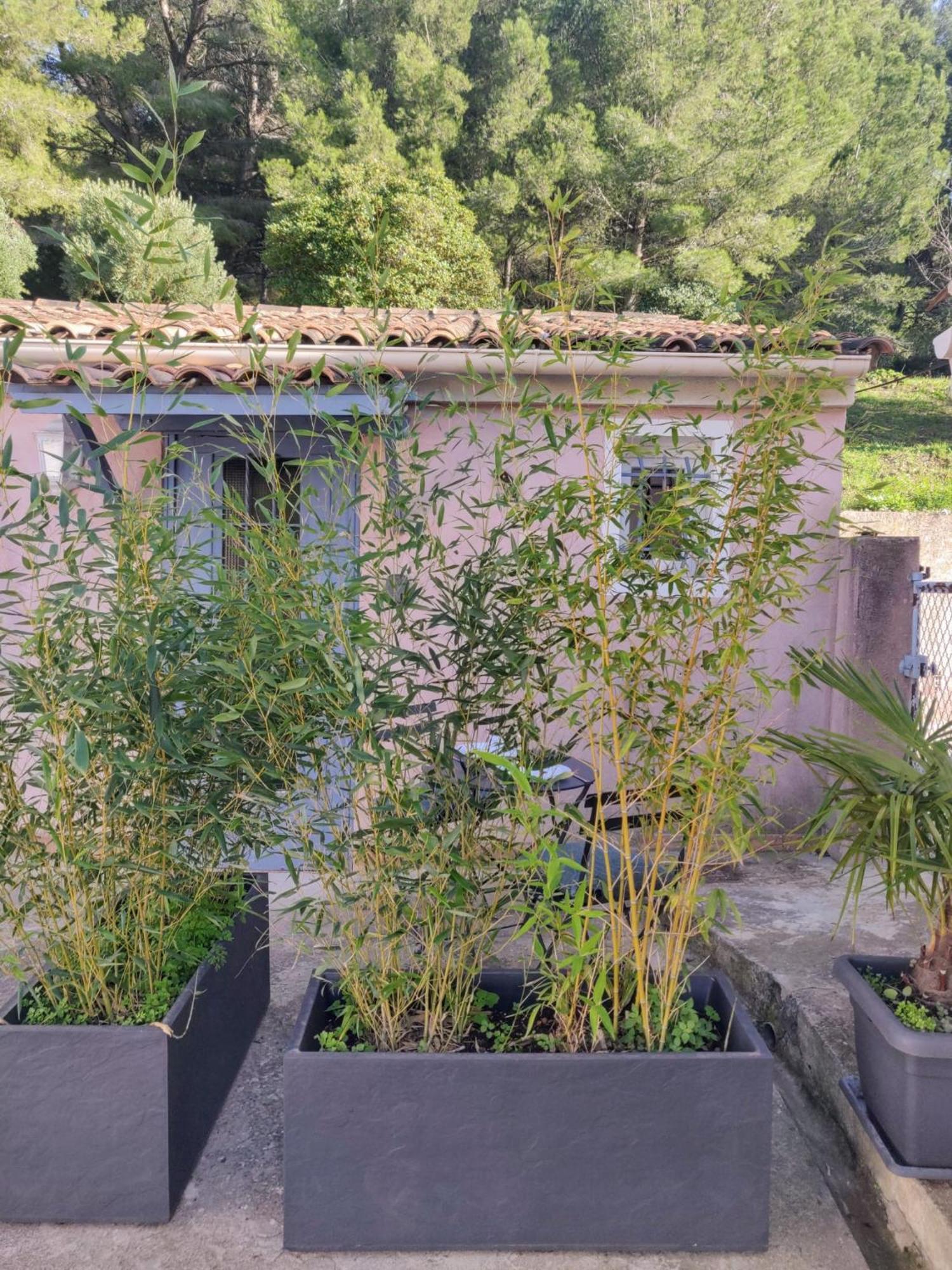 Ferienwohnung La Nina - A 5 Min De Cassis Roquefort-la-Bédoule Exterior foto